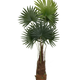 200 cm