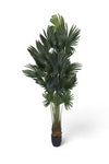 Palme Künstlich H: 220cm