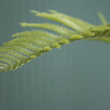 Farne Künstlich H: 180cm - Finestgreen