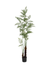 Farne Künstlich H: 180cm