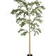XL: 280cm