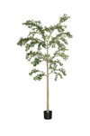 Buchida Bucera Shady Lady Baum Kunstpflanze XL 280cm