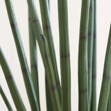 Sansevieria Cylindrica Kunstpflanze L 180cm - Finestgreen