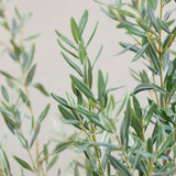 Olivenbaum Kunstpflanze L 180cm - Finestgreen