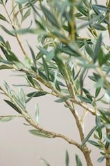 Olivenbaum Kunstpflanze XL 240cm - Finestgreen