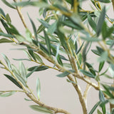 Olivenbaum Kunstpflanze L 180cm - Finestgreen