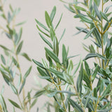 Olivenbaum Kunstpflanze L 180cm - Finestgreen