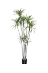 Dracaena Marginata Kunstpflanze XL 230cm