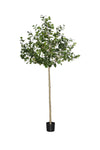 Ficus Triangularis Baum Kunstpflanze XL 240cm