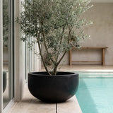 Grosse XXL-Pflanzschale City Bowl Schwarz aus Fiberstone mit Olivenbaum bepflanzt am Pool