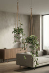 Hanging Charlie Set Grau