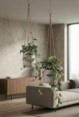 Hanging Charlie Set Grau Finestgreen || Abgebildete Größen: XS & S