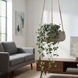 Hanging Eileen Grau Finestgreen 