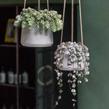 Hanging Patt Set Grau (2er Set) Finestgreen || Offenporige Oberläche