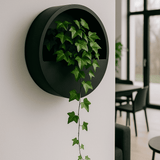 Hanging Wally Schwarz