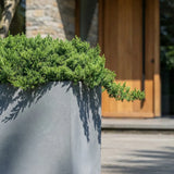 Close-up of Jort Fiberstone Grau planter by Pottery Pots, showcasing its textured gray finish and modern design.