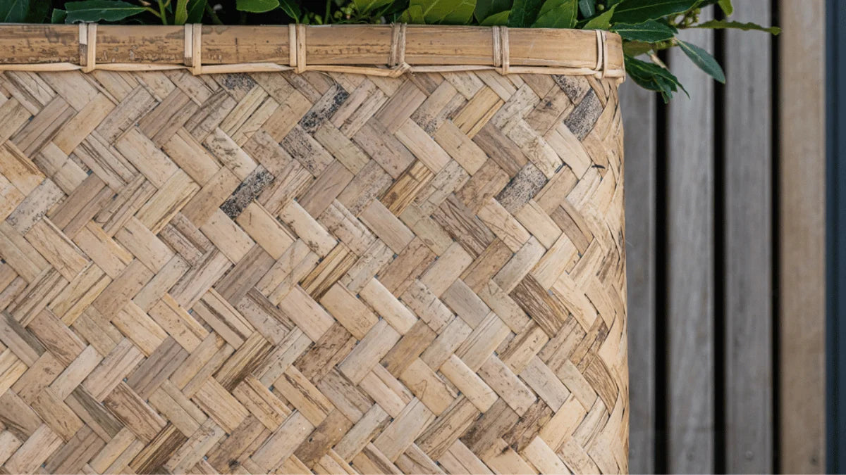Material – Bambus
