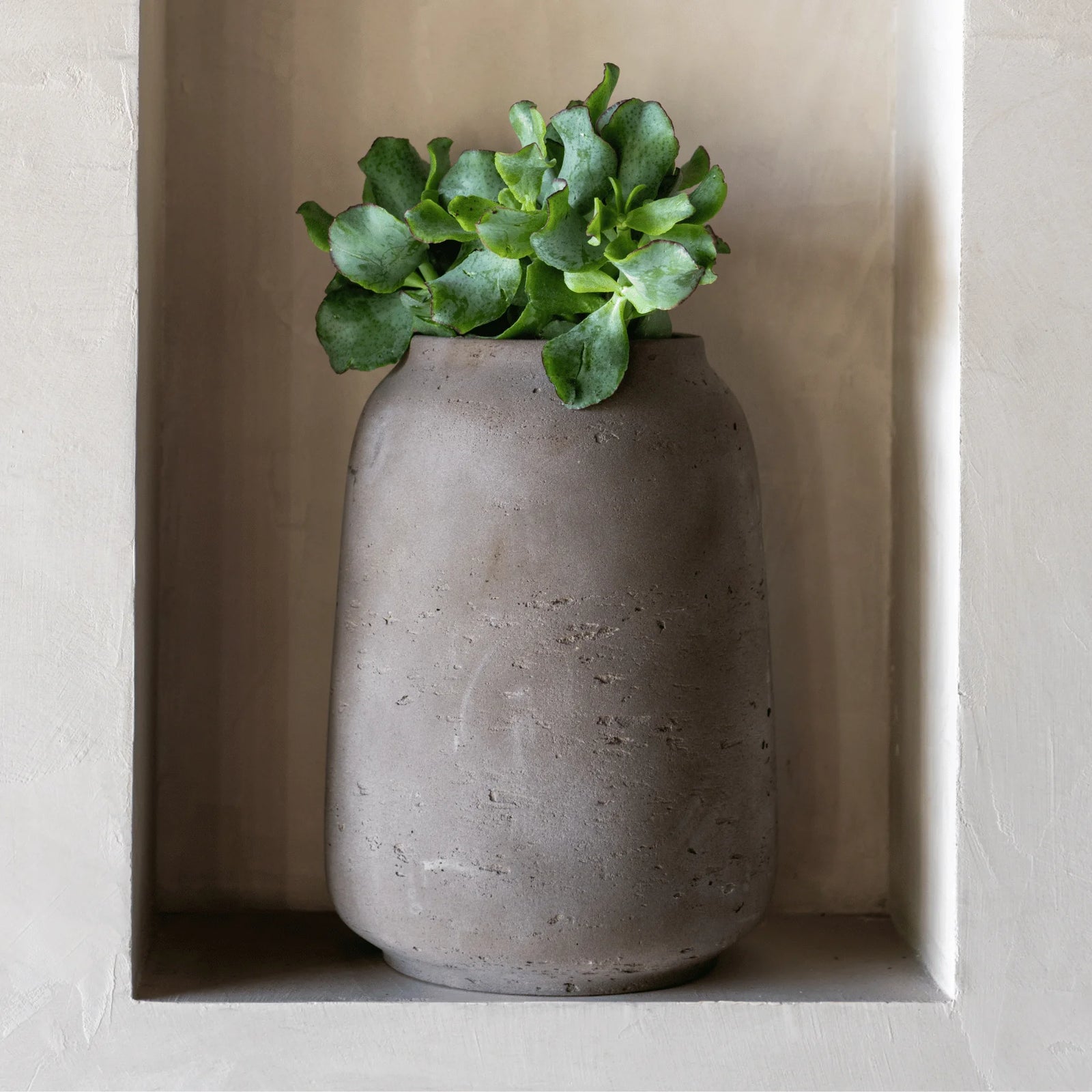 Material – Fiberclay
