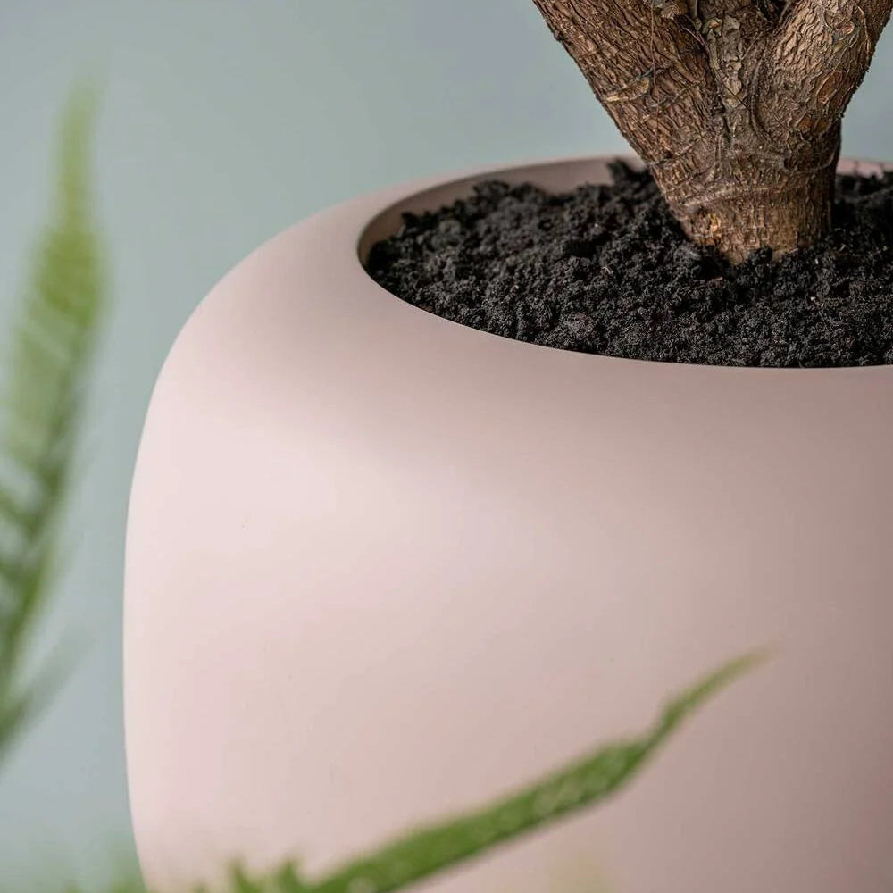 Material Fiberglas Pflanzkübel Rosa Übersicht