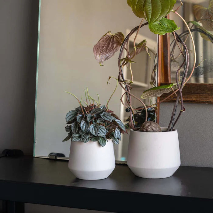 Material Keramik Pflanzkübel Blumentopf Übersicht