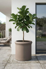 Max Classic Taupe - Finestgreen