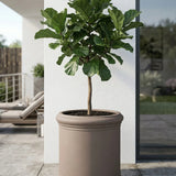 Max Classic Taupe - Finestgreen
