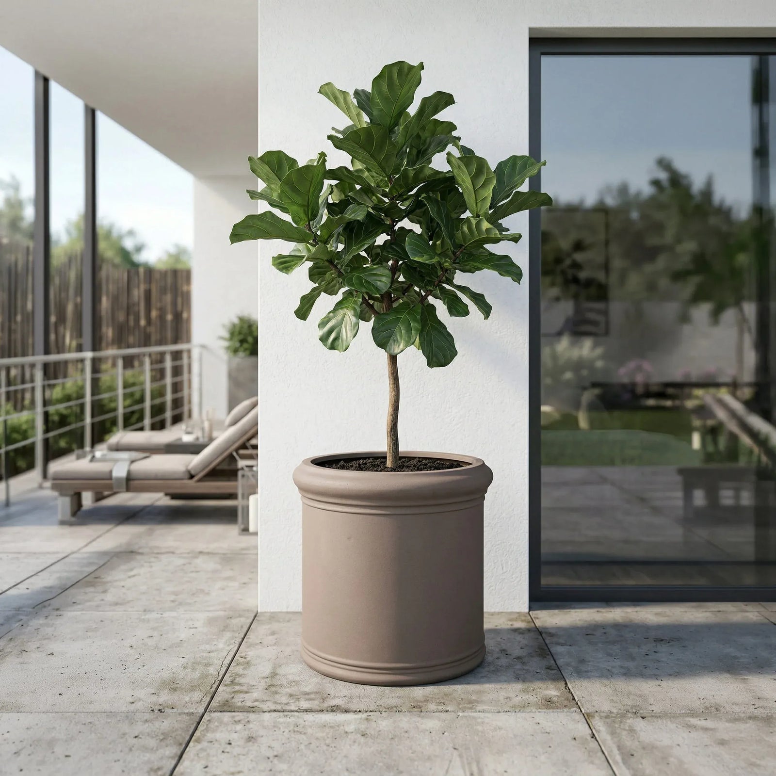Fiberstone Pflanztopf Taupe