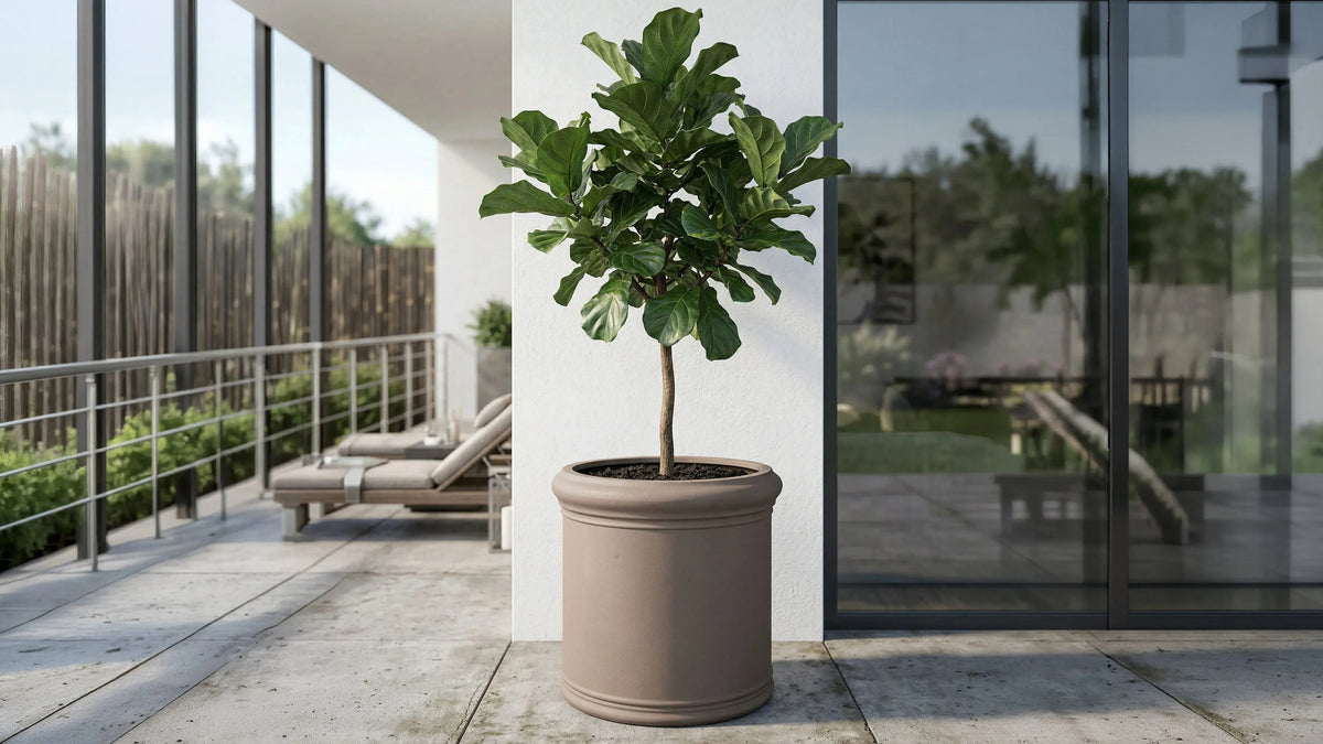 Fiberstone Pflanztopf Taupe