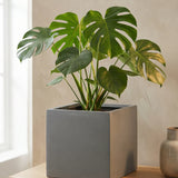 Mini Block Fiberstone Grau Finestgreen 