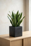 Mini Block Fiberstone Schwarz