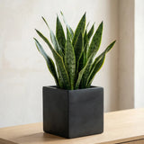 Mini Block Fiberstone Schwarz Finestgreen 