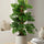 Monstera Monkey Leaf mit Moosstab - Finestgreen