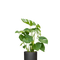 Ø:17 H:60 cm