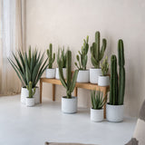 2x Patt White Washed Ø:23 XL
