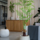 Farne Künstlich H: 180cm - Finestgreen