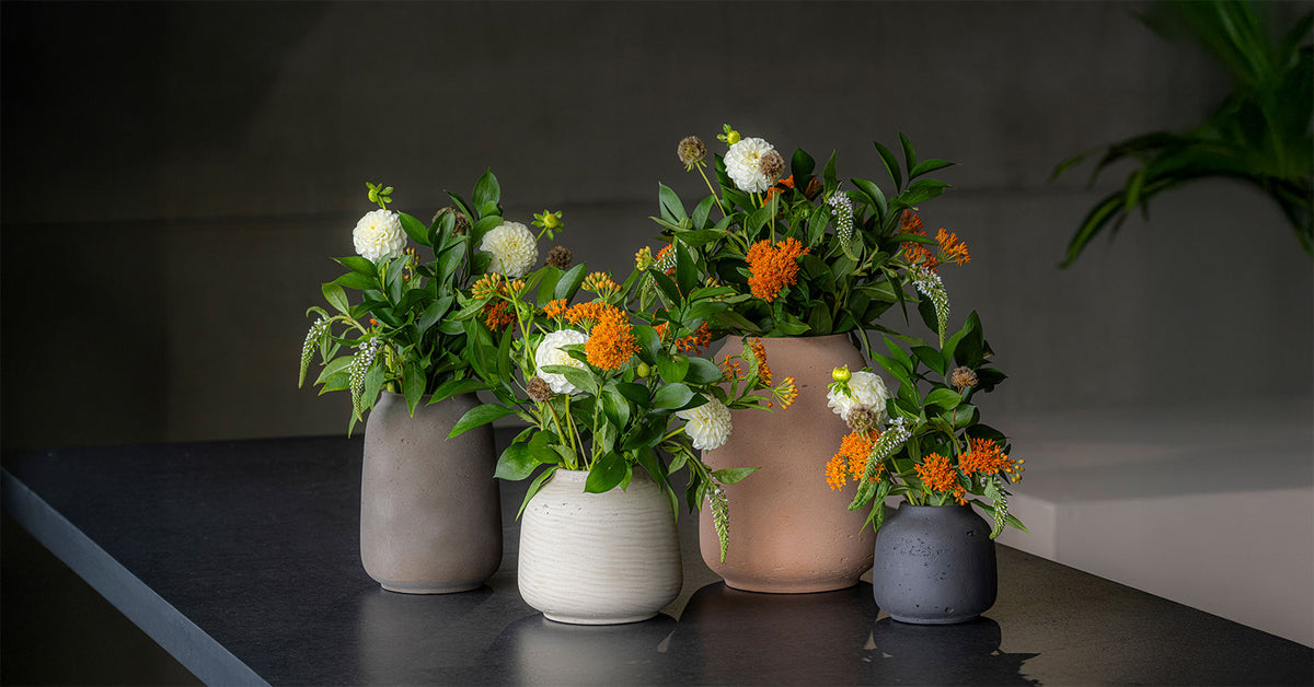 Übersicht Rough Vasen