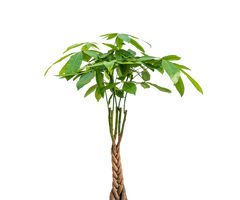 Konfigurator