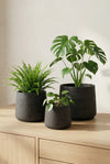 Patt Black Washed 3er Set
