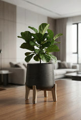 Patt Black Washed Feet Low Finestgreen || Abgebildete Größe: M 