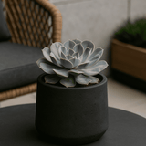 Patt Black Washed