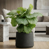 Black washed Patt planter by Pottery Pots displayed in an ambient setting, showcasing its sleek design and texture. || Abgebildete Größe: XXL