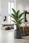 Patt Fiberstone Grau