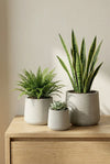 Patt Grey Washed 3er Set