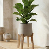 Patt Grey Washed Feet High - Finestgreen || Abgebildete Größe: M