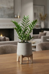Patt Grey Washed Feet Low Finestgreen || Abgebildete Größe: M