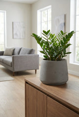 Patt Mocha Washed Finestgreen || Abgebildete Größe: L