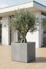 Jumbo Fiberstone Grau Finestgreen 