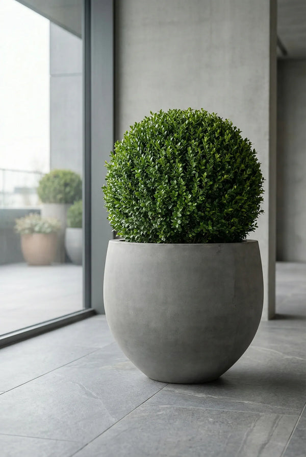 Großer runder Pflanzkübel Jumbo Orb Grau in Kugelform für Großpflanzen