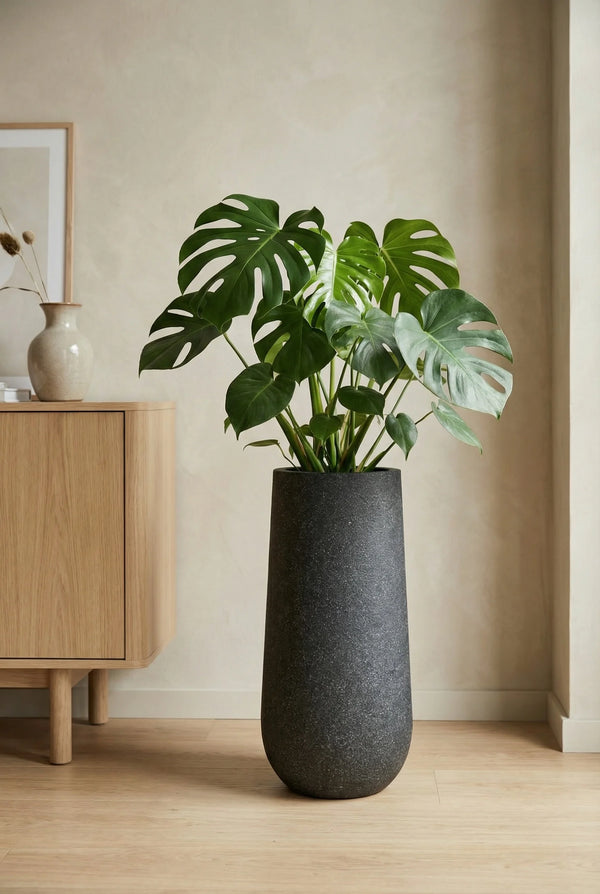 Pflanzkübel Nax Schwarz, Bodenvase in Granit-Optik