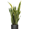 Ø:19 H:70 cm